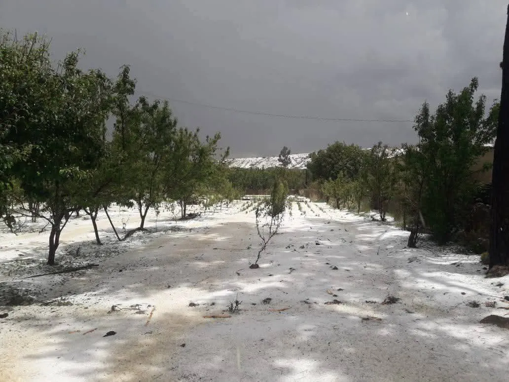 FB_IMG_1762994817073